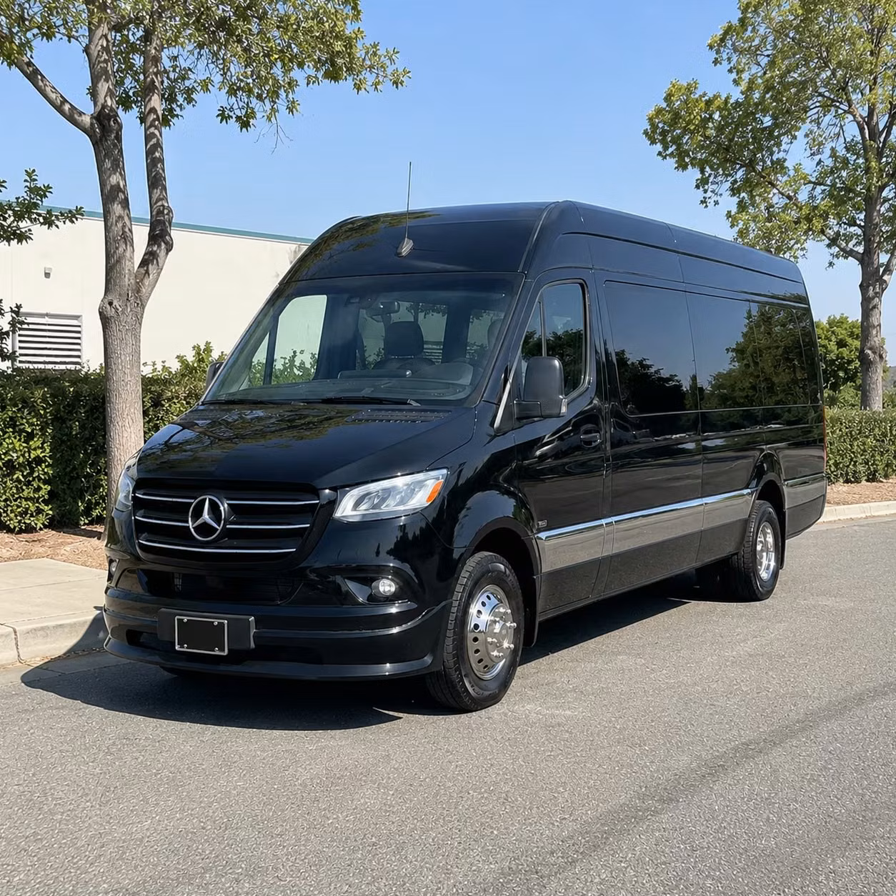 sprinter limousine